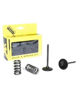 Set supape de admisie ProX cu arcuri YAMAHA YZF 450 (10-13)