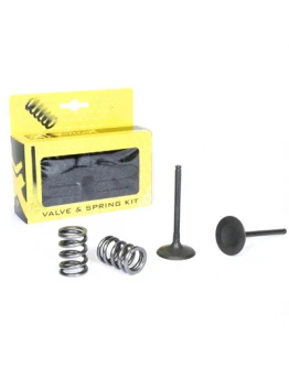 Set supape de admisie ProX cu arcuri SUZUKI RMZ 450 (07)