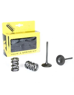 Set supape de admisie ProX cu arcuri KAWASAKI KXF 450 (06-08)