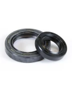 PROX USZCZELNIACZE WAŁU KORBOWEGO HONDA CR 125 86-07 | 42.1206