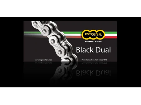 Lant REGINA 520ZRA (114 zale) Z-RING DUAL pana la 600CC negru (135ZRA/1010) | 520ZRA-114