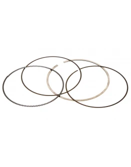 Segmenti Vertex ( diametru 100mm ) (1 set)