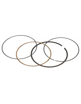 Segmenti Vertex ( diametru 77mm ) (1 set)