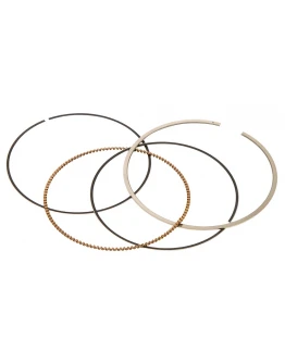 Segmenti Vertex ( diametru 80mm ) (1 set)