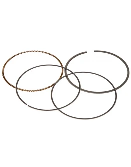 Segmenti Vertex ( diametru 95,5mm ) (1 set)