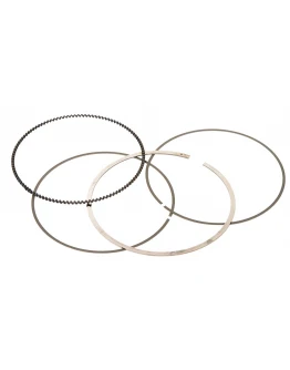 Segmenti Vertex ( diametru 96mm ) (1 set)