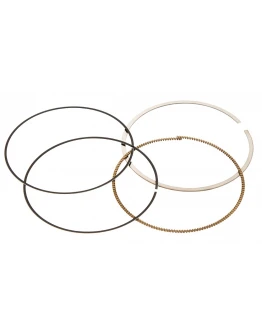 Segmenti Vertex ( diametru 96mm ) (1 set)