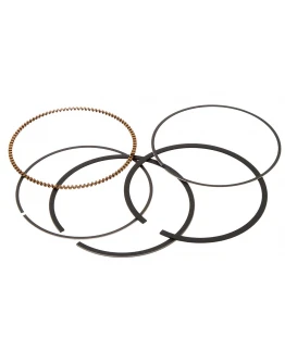 Segmenti Vertex ( diametru 100mm ) (1 set)