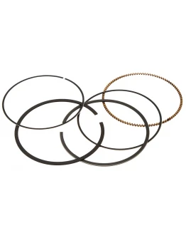 Segmenti Vertex ( diametru 100,5mm ) (1 set)