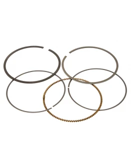 Segmenti Vertex ( diametru 101mm ) (1 set)