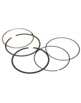 Segmenti Vertex ( diametru 102mm ) (1 set)