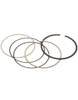 Segmenti Vertex ( diametru 93mm ) (1 set)