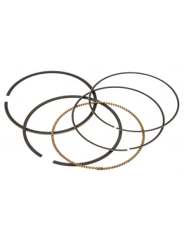 Segmenti Vertex ( diametru 95mm ) (1 set)