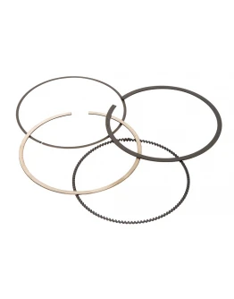 Segmenti Vertex ( diametru 98mm ) (1 set)