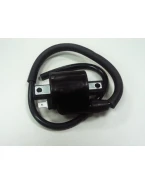 Bobina inductie BRONCO (aprindere) universala pentru instalatii de 12V si 6V | AT-01302