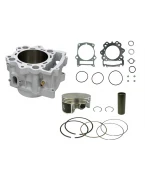 Cilindru complet BRONCO YAMAHA YFM 700 RAPTOR 06-14 STD = 102MM (20004-K01) | AT-09473K