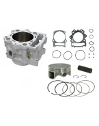 Cilindru complet BRONCO YAMAHA YFM 700 RAPTOR 15-19 STD = 102MM (20004-K02) | AT-09475K