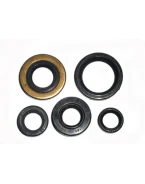 Kit garnituri BRONCO HONDA TRX 400 EX FOURTRAX 98-08 | AT-09606