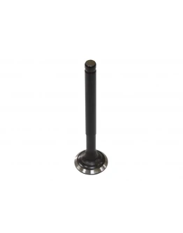 Supapa evacuare BRONCO KAWASAKI KFX 50 '07-20 otel (OEM:12005-Y001)