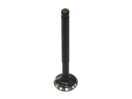 Supapa evacuare BRONCO KAWASAKI KFX 50 07-20 otel (OEM:12005-Y001) | AU-09222E