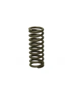 PSYCHIC SPRĘŻYNA ZAWORU WYDECHOWEGO KAWASAKI KXF 250 06-14 (MX-09505ES) - ZASTĄPIONY PRZEZ XU-09509ES | XU-09505ES