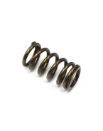 PSYCHIC SPRĘŻYNA ZAWORU WYDECHOWEGO YAMAHA YZF 250 01-13 / WRF 250 01-13, GAS GAS EC 250F (10-15), 300F (13-15) (MX-09519ES) | XU-09519ES