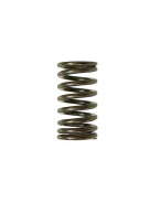 PSYCHIC SPRĘŻYNA ZAWORU WYDECHOWEGO YAMAHA YZF 450 10-16 (MX-09541ES) | XU-09541ES