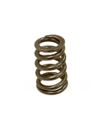 PSYCHIC SPRĘŻYNA ZAWORU WYDECHOWEGO KTM SXF 250 05-07, EXCF 250 07 (MX-09550ES) | XU-09550ES
