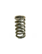 PSYCHIC SPRĘŻYNA ZAWORU SSĄCEGO KTM SXF 250 08-12, EXCF 250 08-13 (MX-09551IS) | XU-09551IS