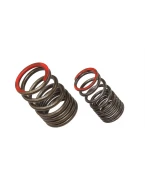 PSYCHIC SPRĘŻYNA ZAWORU WYDECHOWEGO KAWASAKI KXF 450 (KX 450F) 16-18 | XU-09561ES