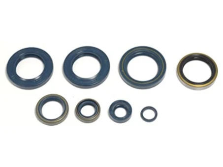 ATHENA KOMPLET (ZESTAW) USZCZELNIACZY SILNIKOWYCH KAWASAKI KLX 250 93-98 | P400250400006