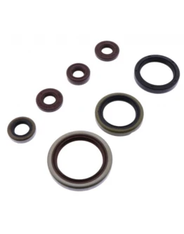 Set complet simeringuri motor Athena SHERCO SE-R 250/300 14-20