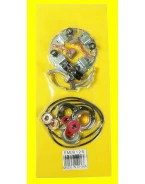 Kit reparatie electromotor ARROWHEAD HONDA/KAWASAKI/SUZUKI MC (cu suport de perii) | SMU9126