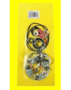 Kit reparatie electromotor ARROWHEAD YAMAHA XV 535 87-00 (cu suport de perii) | SMU9154