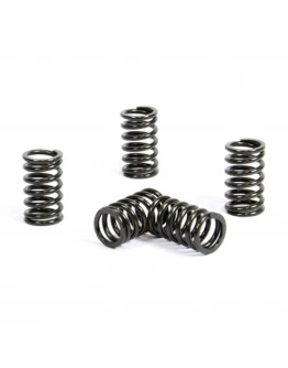 Arcuri ambreiaj ProX KAWASAKI KX 250 '92-08 (SK-401)