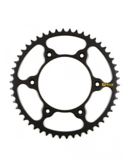 Pinion spate 289 48 otel ULTRALITE BETA RR 125-498 '13-22 (28948) (JTR210.48) (standard-1) (pas 520)