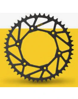 Pinion spate 289 51 otel ULTRALITE BETA RR 125-498 '13-22 (28951) (JTR210.51) (standard+2) (pas 520)