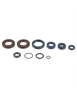 Set complet simeringuri motor Athena BETA RK6 50CCM '93-'96, RR6 '97-'99, SM 50 '99, KTM 65 '93-'99, '01-'06