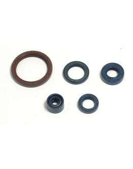 Set complet simeringuri motor Athena HUSQVARNA TE 250 03-09, TE 310 09-10, TE 450/510 03-10, TC 250/310/450