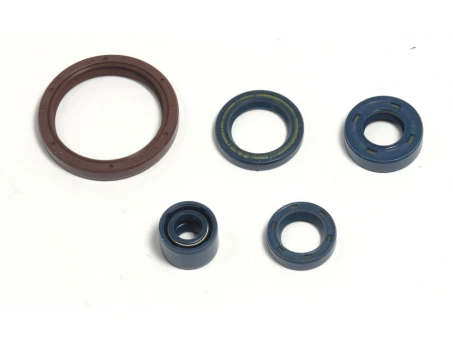 ATHENA KOMPLET (ZESTAW) USZCZELNIACZY SILNIKOWYCH HUSQVARNA TE 250 03-09, TE 310 09-10, TE 450/510 03-10, TC 250/310/450 | P400220400255