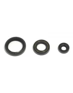 ATHENA KOMPLET (ZESTAW) USZCZELNIACZY SILNIKOWYCH HUSQVARNA TE/TC 250 10-14, TE/TXC 310 11-14 | P400220400263