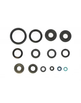 Set complet simeringuri motor Athena KAWASAKI KVF750I BRUTE FORCE`06-12, KVF650I`08-14 (WTRYSK)