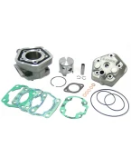 ATHENA CYLINDER KOMPLETNY KTM SX 65 01-08 50MM (BIG BORE=80CCM) | P400270100002