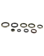 ATHENA KOMPLET (ZESTAW) USZCZELNIACZY SILNIKOWYCH KTM EXC 250/300 04-16, SX 250 03-16 | P400270400009