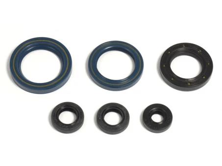 ATHENA KOMPLET (ZESTAW) USZCZELNIACZY SILNIKOWYCH KTM GS125`87-97, EGS125`95-97 | P400270400014