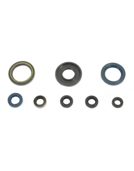 Set complet simeringuri motor Athena KTM GS 250 84-89