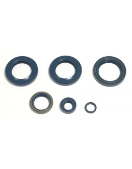 Set complet simeringuri motor Athena KTM LC4 EGS400/620`96-98, LC4-E400`98-02, LC4 620`96-01