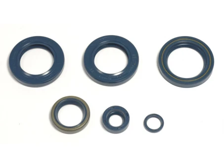ATHENA KOMPLET (ZESTAW) USZCZELNIACZY SILNIKOWYCH KTM LC4 EGS400/620`96-98, LC4-E400`98-02, LC4 620`96-01 | P400270400051