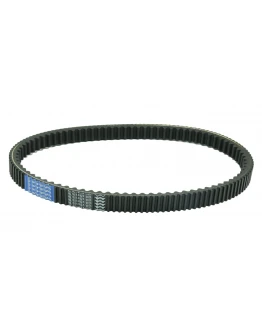 Curea transmisie Athena (26,5x14,5x1008) PIAGGIO X9 500 '01-'02, APRILIA ATLANTIC 500 '01