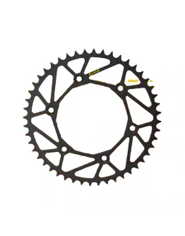 Pinion spate 289 51 otel ULTRALITE BETA RR 125-498 '13-22 (28951) (JTR210.51) (standard+2) (pas 520)